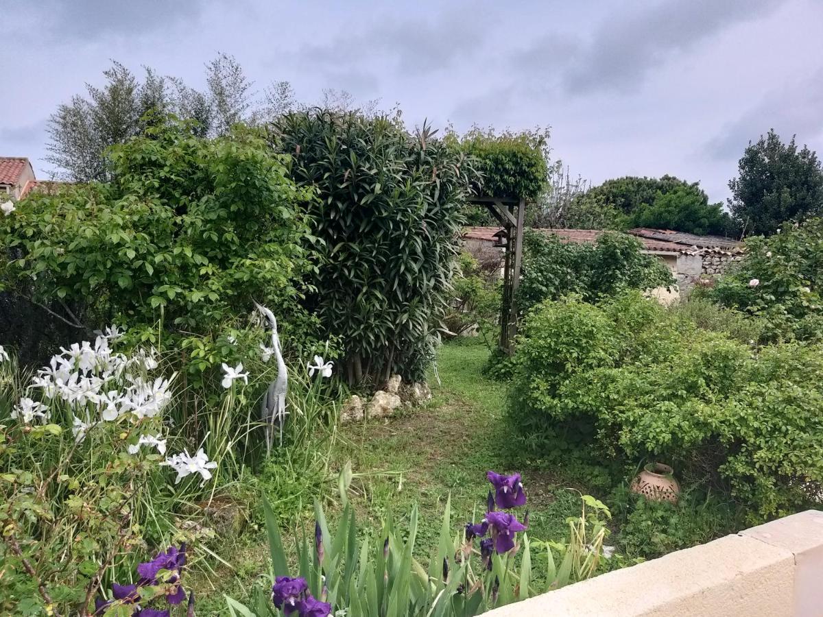 Maison Althea Rosea - 3 Chambres Et Piscine Nieulle-sur-Seudre Dış mekan fotoğraf